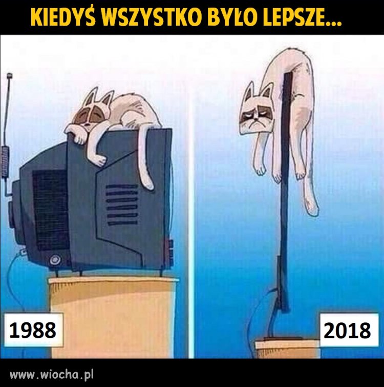 Kotu nie pasuje taka zmiana...