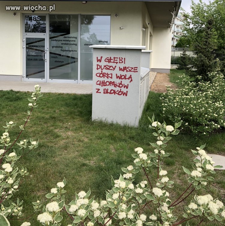 I po co to 