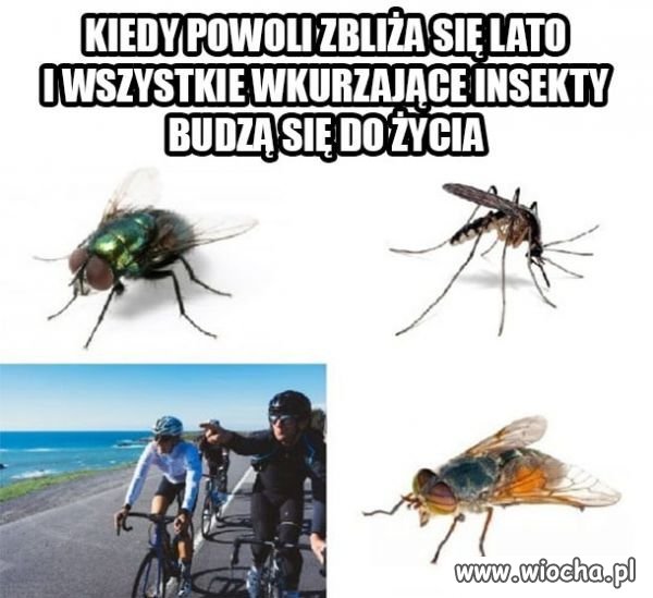 Uwaga wracaja:)