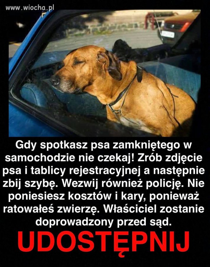 Prosta instrukcja ratująca życie 