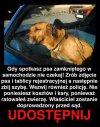 Prosta instrukcja ratująca życie 