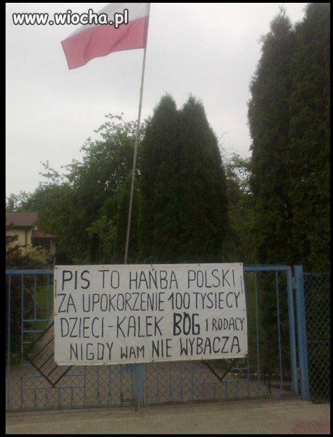 Bo polaczki to głupi naród!czy przed czy po szkodzie!
