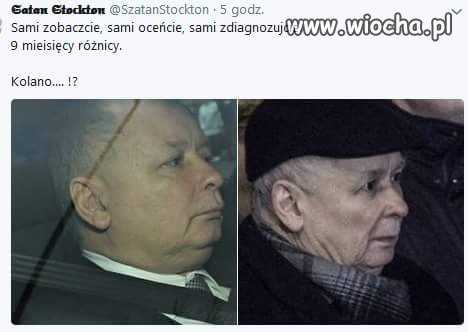 Wygląda jakby prezes