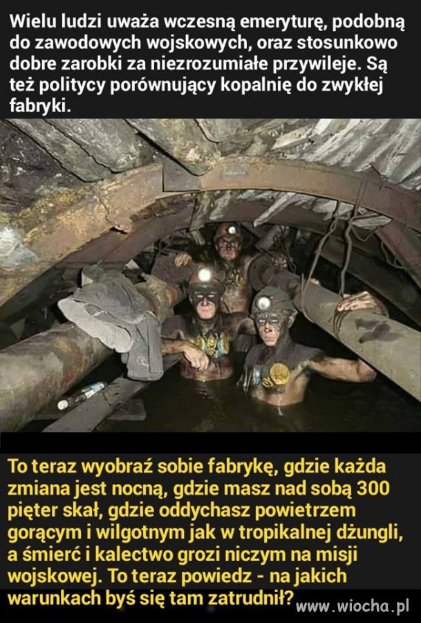 Górnictwo