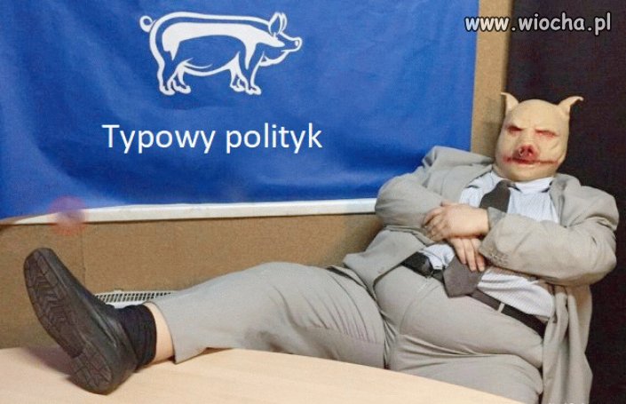 Nie ważne jaka partia.