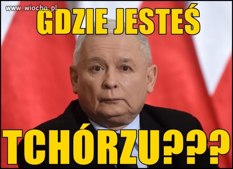 Tak pytam