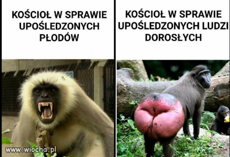 Niestety...