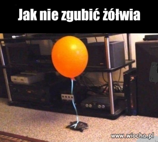 To się nazywa
