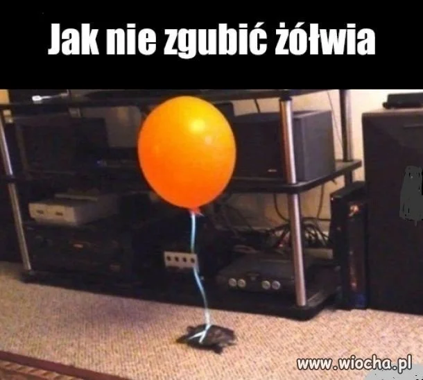 To się nazywa