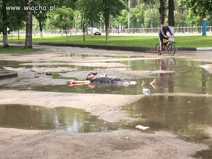 W piątek to i wodnika szuwarka można spotkać