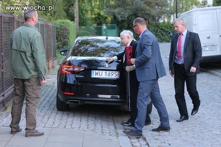 Nepełnosprawność Lepszego Sortu 