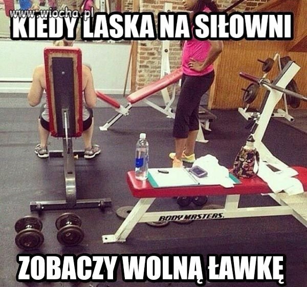 Dziewczyny