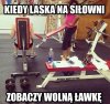 Dziewczyny