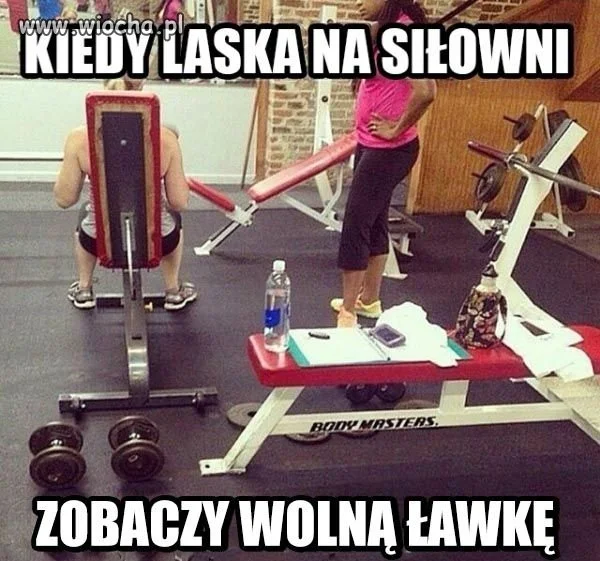 Dziewczyny