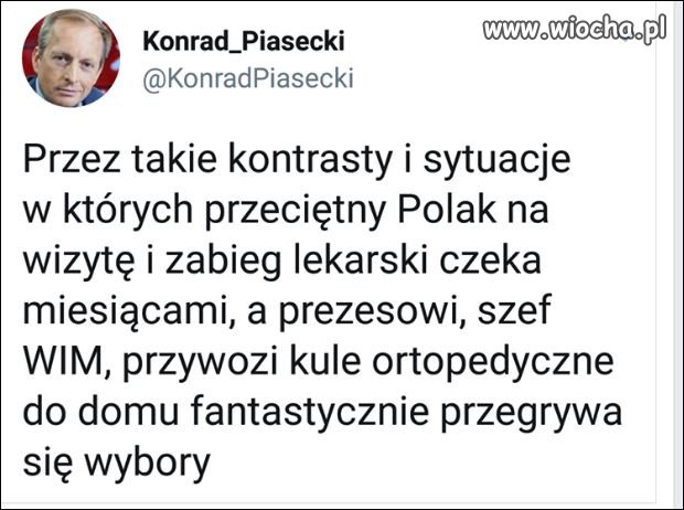 Bo są równi i równiejsi