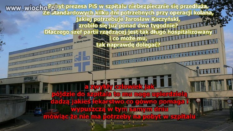 Politycy Mają