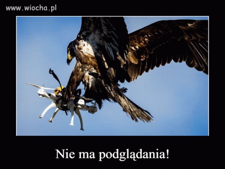 Lekko się wkur...