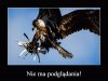 Lekko się wkur...