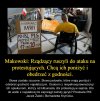 Tego się nie da opisać