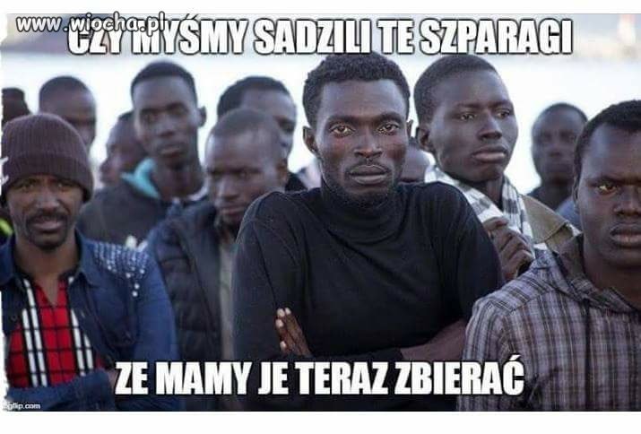 Dobrze że są biali na świecie 
