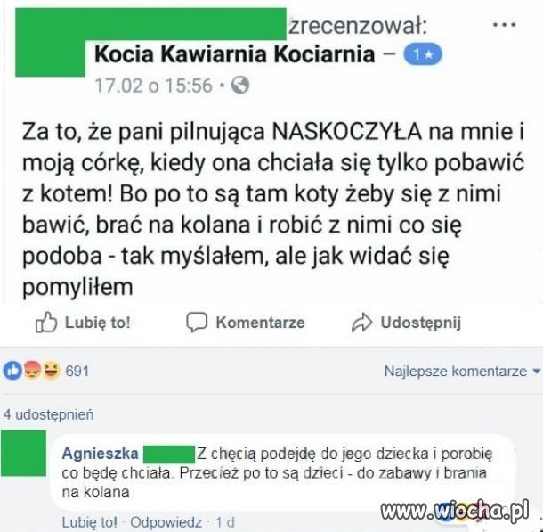 Koty są po to,