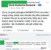 Koty są po to,