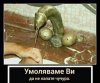 Nie wyciskaj wylewki!