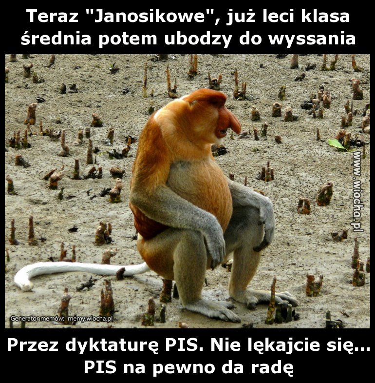 Teraz "Janosikowe", już leci klasa