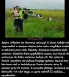 Włącz myślenie na drodze.