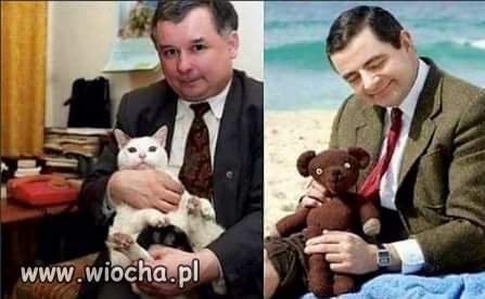 Znajdź dwie różnice.