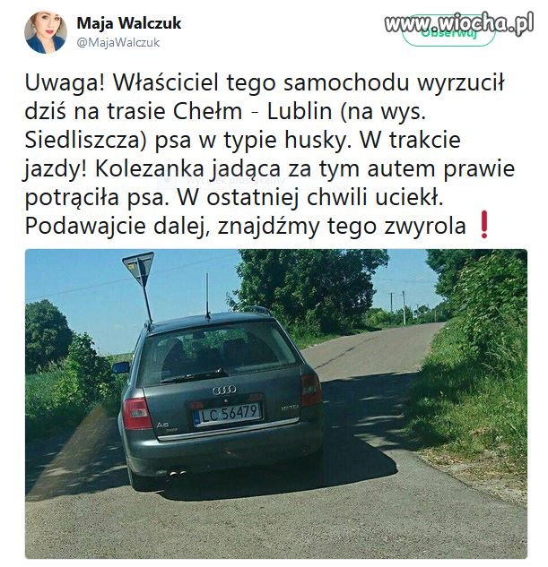 Zwyrol
