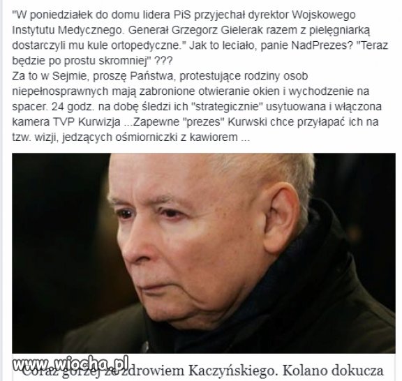 Ośmiorniczki nie, ale wystarczy że dowiozą pizzę