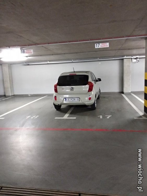 Mistrz parkowania