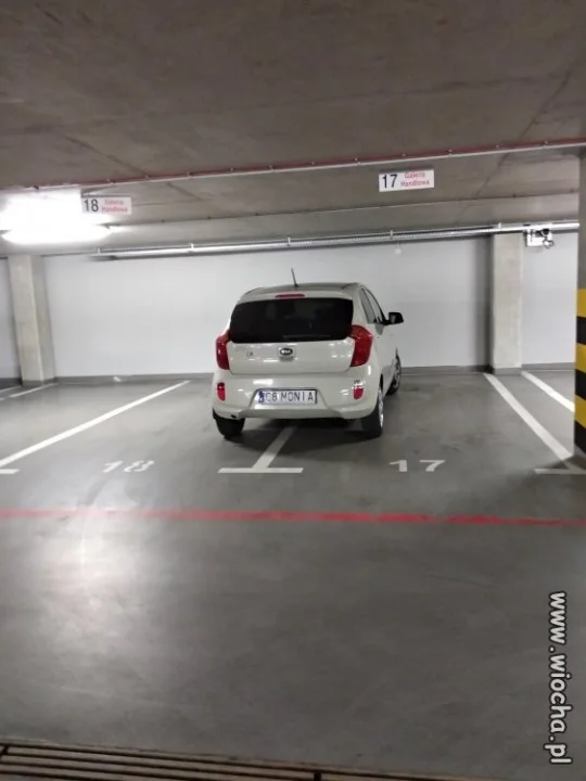 Mistrz parkowania