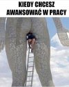 Często tak to właśnie jest