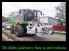 Polak potrafi
