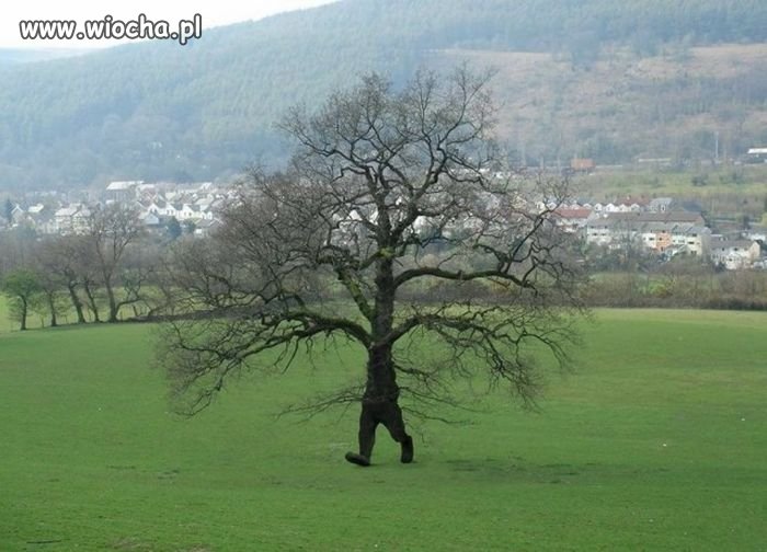 Uciekinier z Białowieży