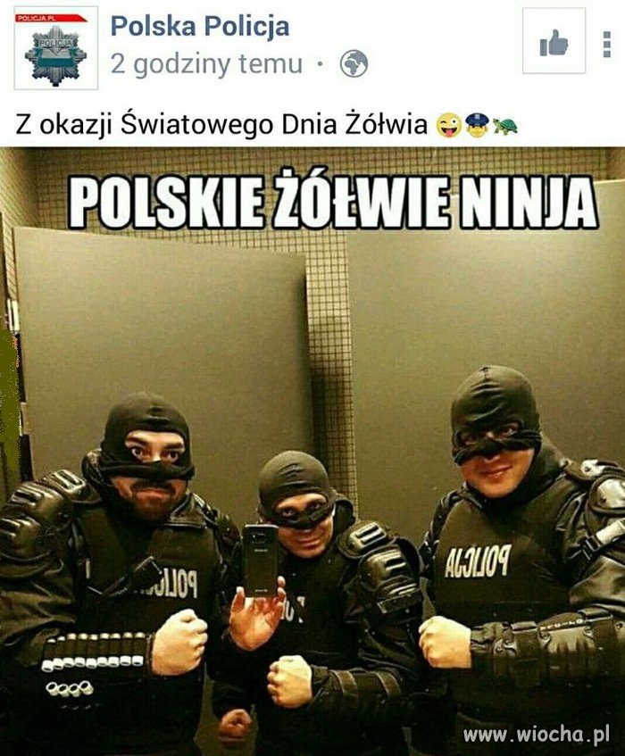 Zółwie 