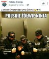 Zółwie 