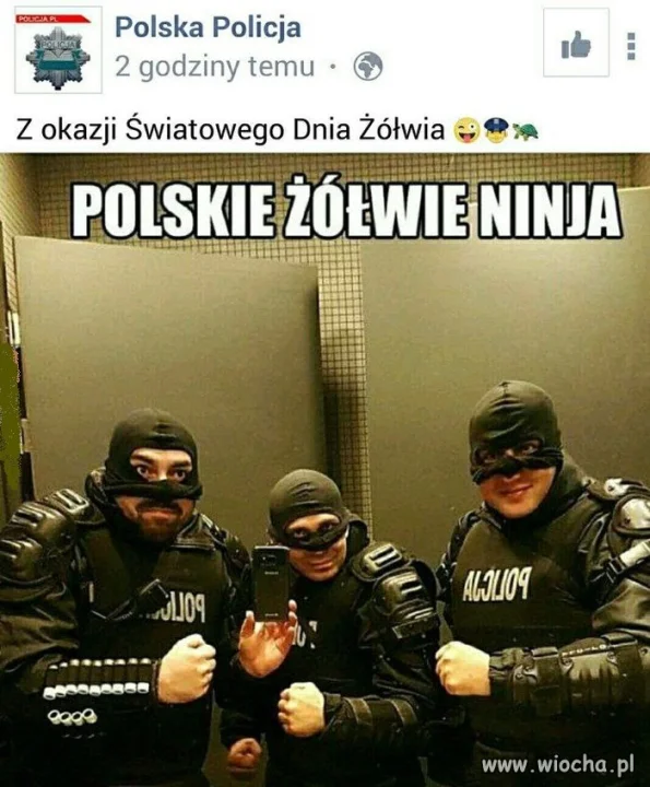 Zółwie 