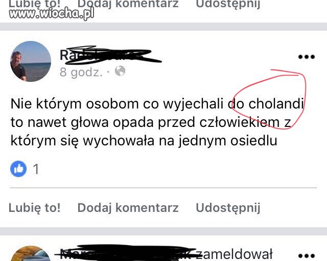 Złota myśl 