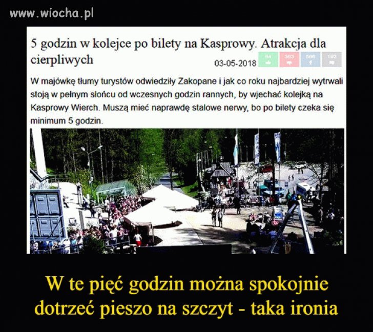 5 godzin