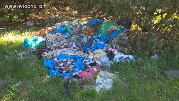Buty wkładki zrobił a odpady do lasu