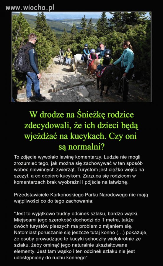 Idioci to zbyt łagodne określenie