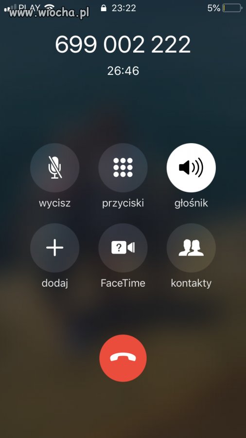 Infolinia Polsat czekam