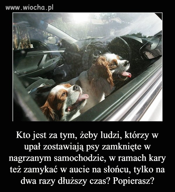 Jestem Za