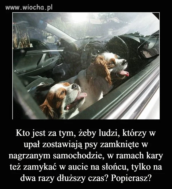 Jestem Za