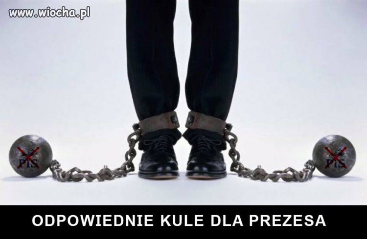 Kto jest za ?
