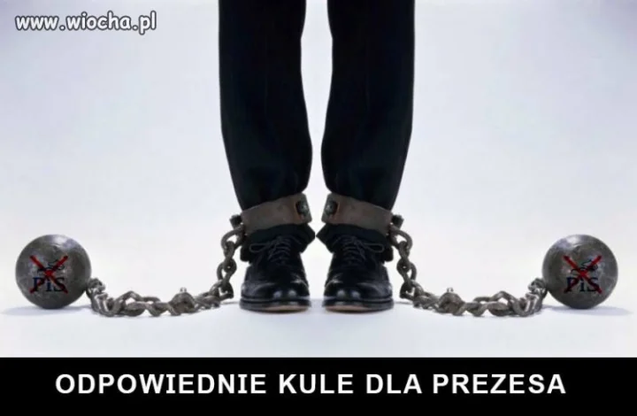 Kto jest za ?