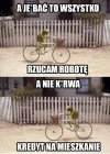 Rano i wieczorem